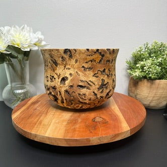 Live Oak Burl Bowl