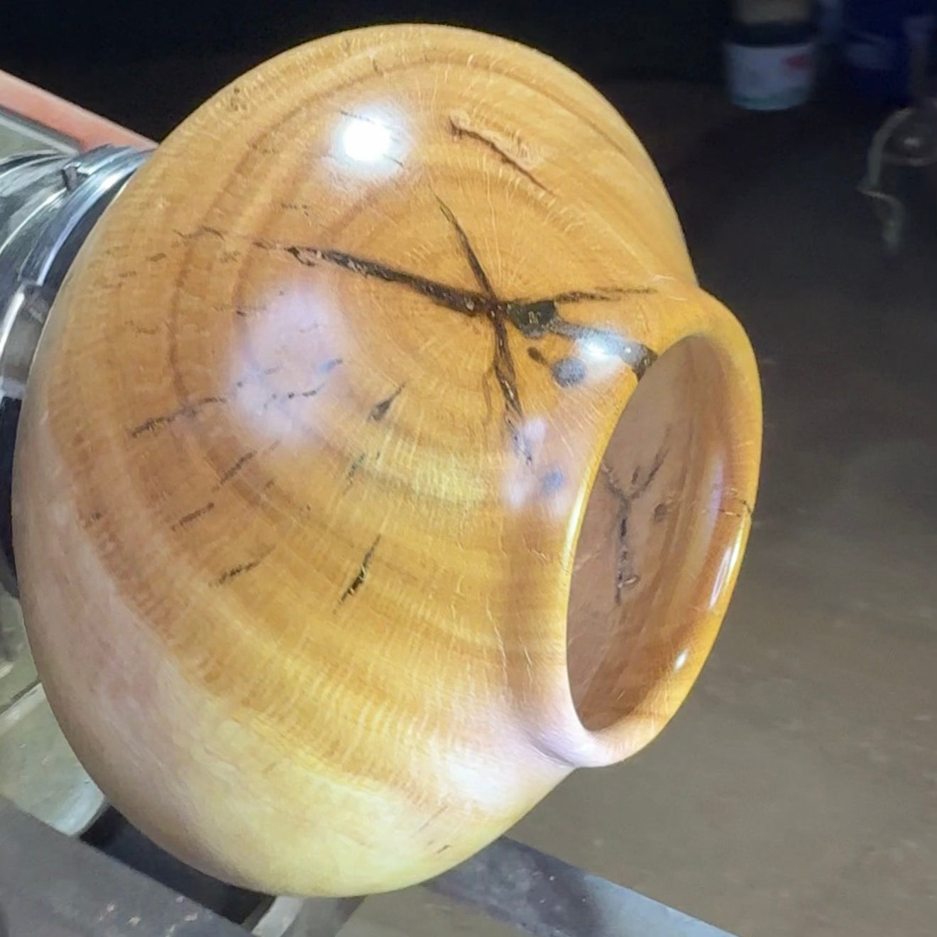 Live Oak Vase